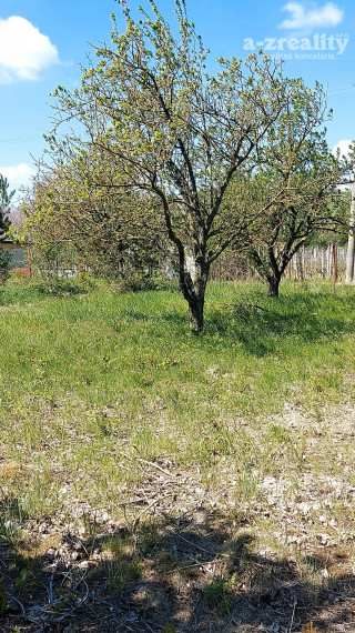 Exkluzívne ponúkame na predaj záhradu v Číčove