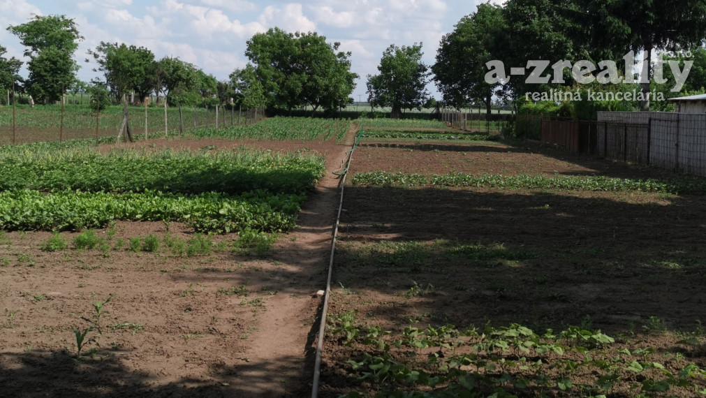 Na predaj starší RD na veľkom pozemku v Tvrdošovciach