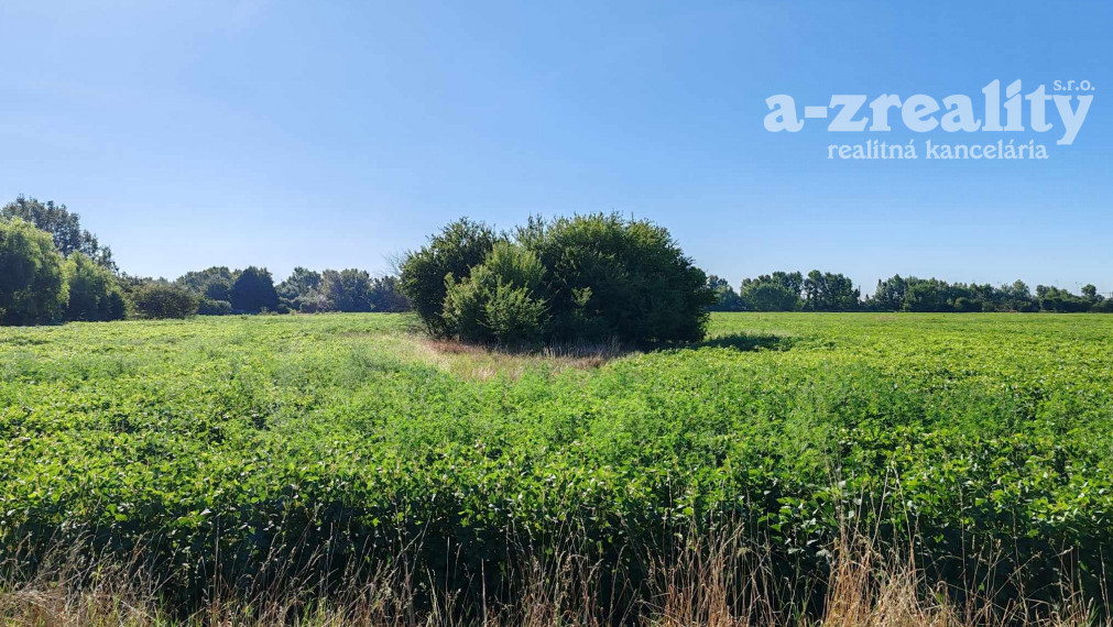 Znížená cena! Veľký investičný pozemok na predaj pri Komárne