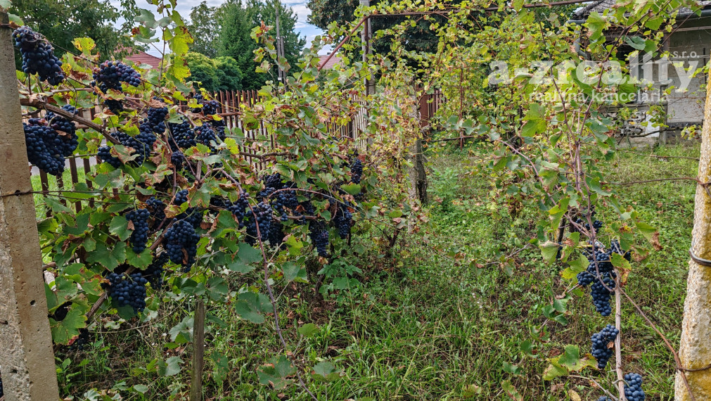 Znížená cena! 33 árový pozemok aj s domom na predaj