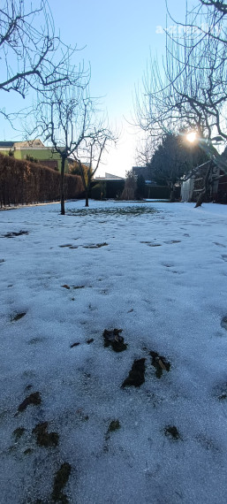 Na predaj stavebný pozemok v Nových Zámkoch