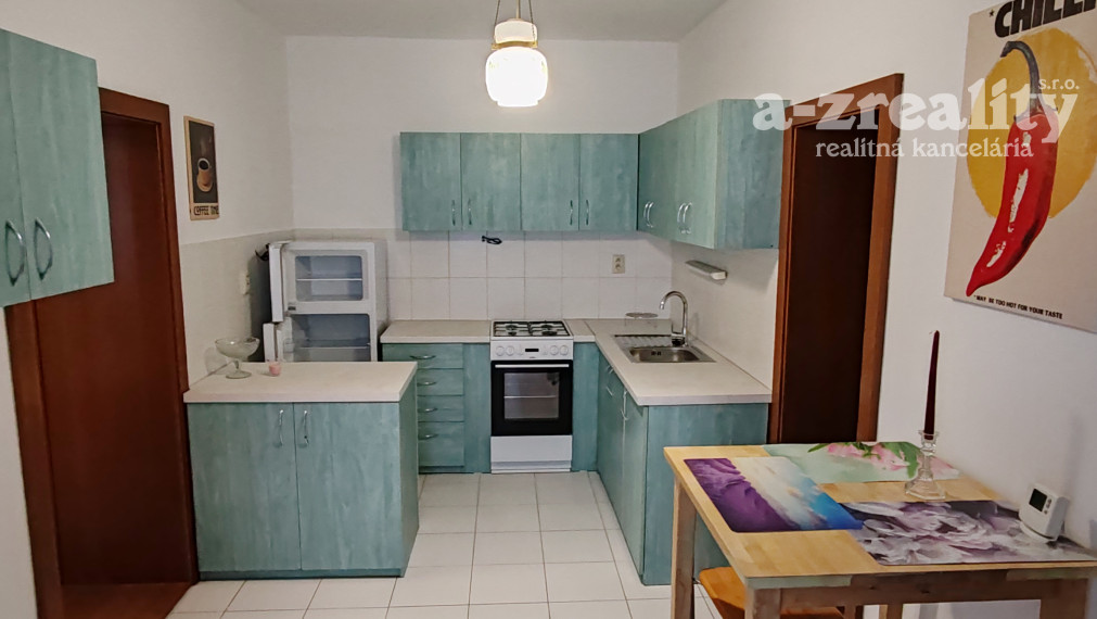 Veľký 1 izbový byt v dome so záhradou na prenájom