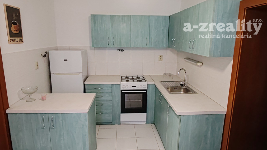 Veľký 1 izbový byt v dome so záhradou na prenájom