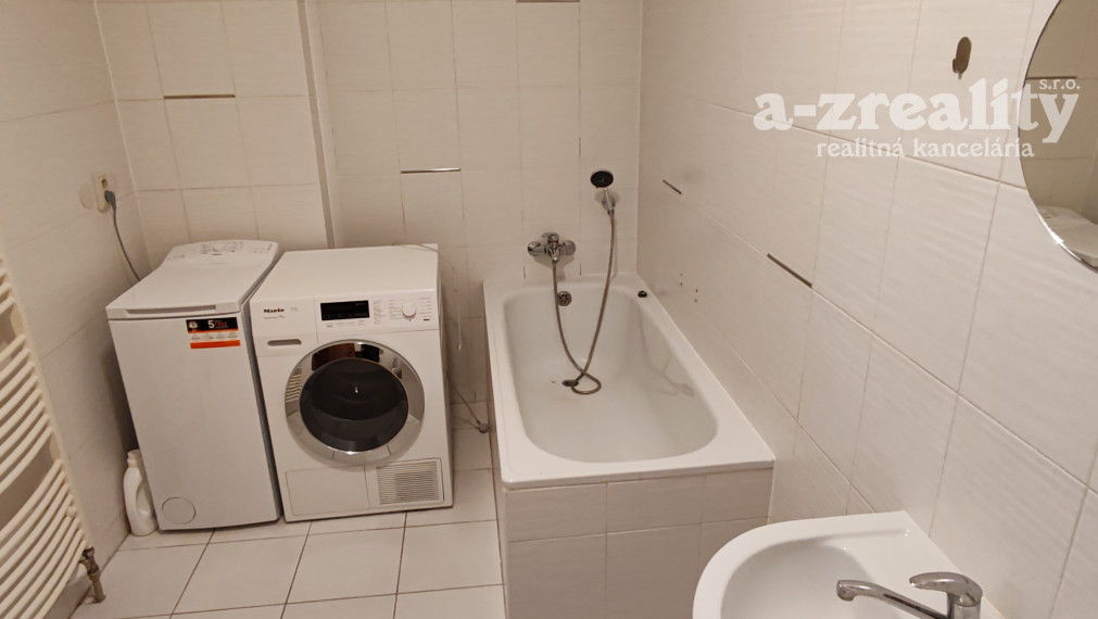 Veľký 1 izbový byt v dome so záhradou na prenájom