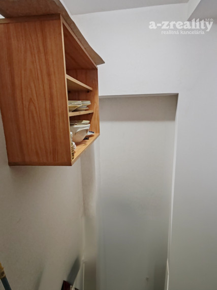 Veľký 1 izbový byt v dome so záhradou na prenájom