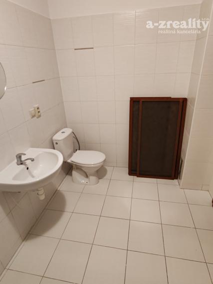 Veľký 1 izbový byt v dome so záhradou na prenájom