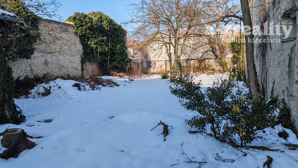 Veľký 1 izbový byt v dome so záhradou na prenájom