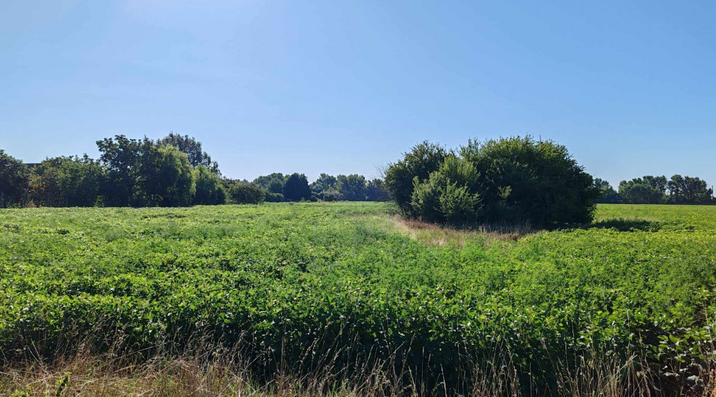 Znížená cena! Veľký investičný pozemok na predaj pri Komárne