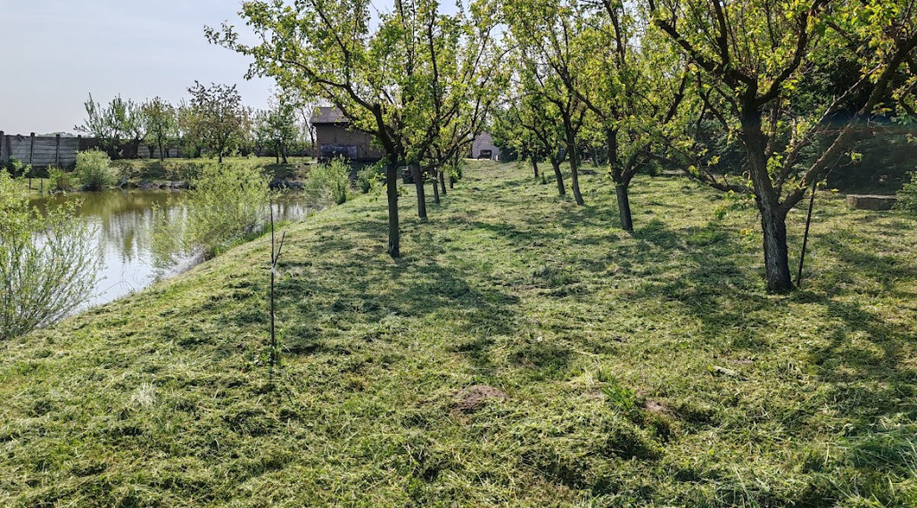 Veľký investičný pozemok na predaj - Kolárovo
