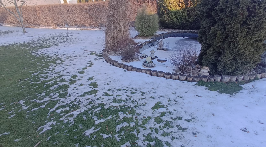 Na predaj stavebný pozemok v Nových Zámkoch