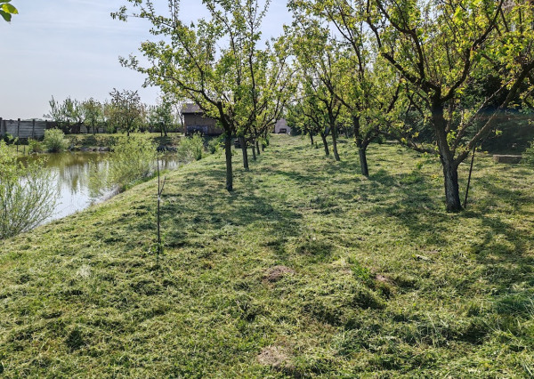 Veľký investičný pozemok na predaj - Kolárovo